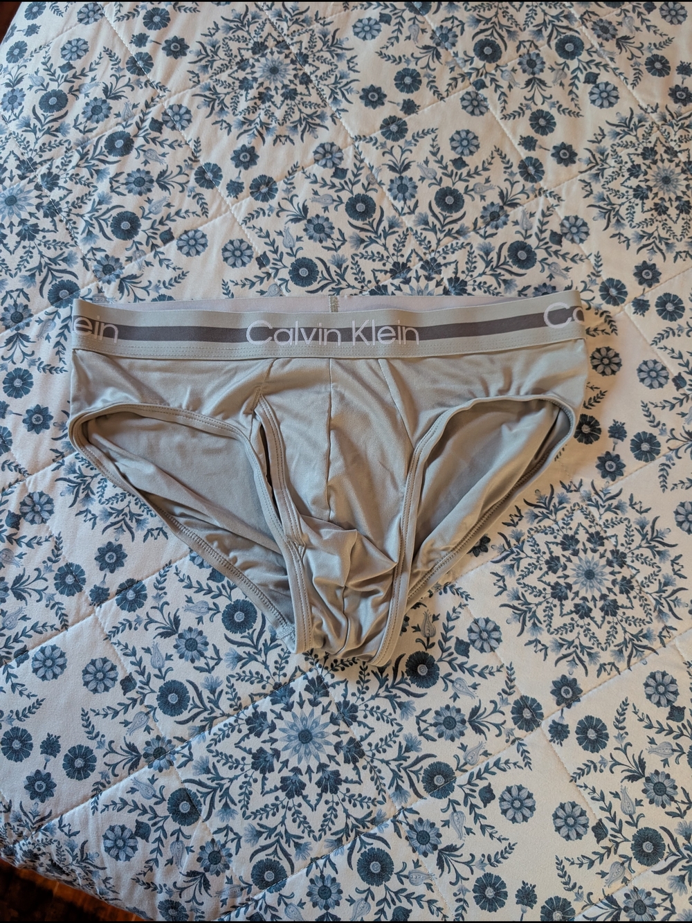 Calvin Klein Underwear Men's Briefs